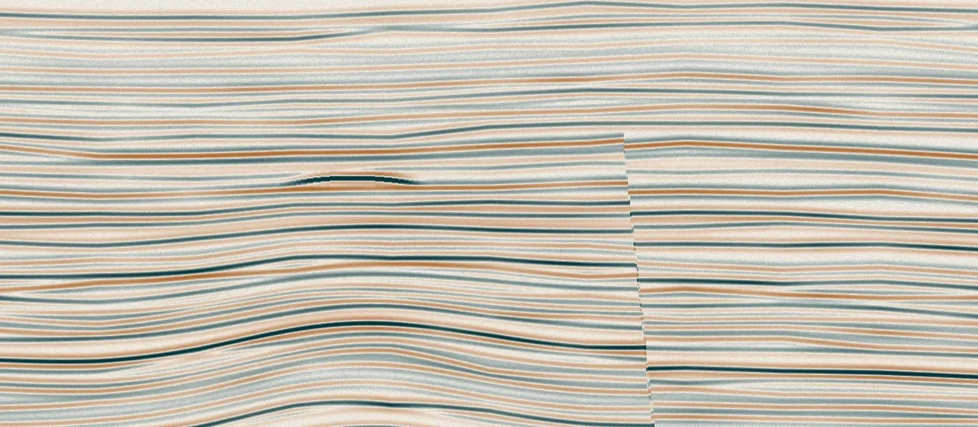 Processed seismic section with a normal fault and a bright amplitude anomaly